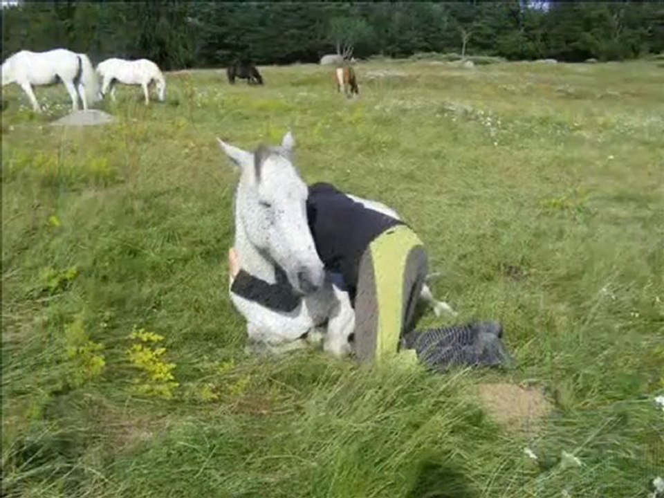 Miss - Aurons-nous un réel avenir ?