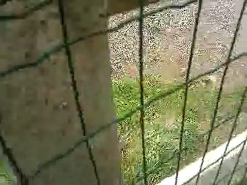 rallye de saint germain la campagne 2010 part.1