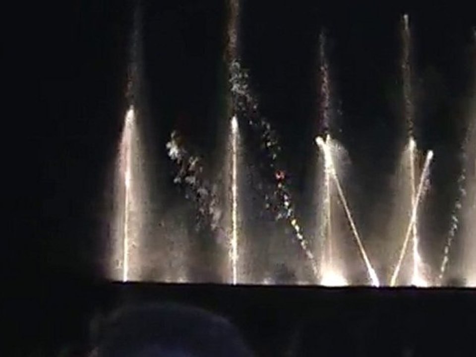 Aquatic Show Furdenheim 3