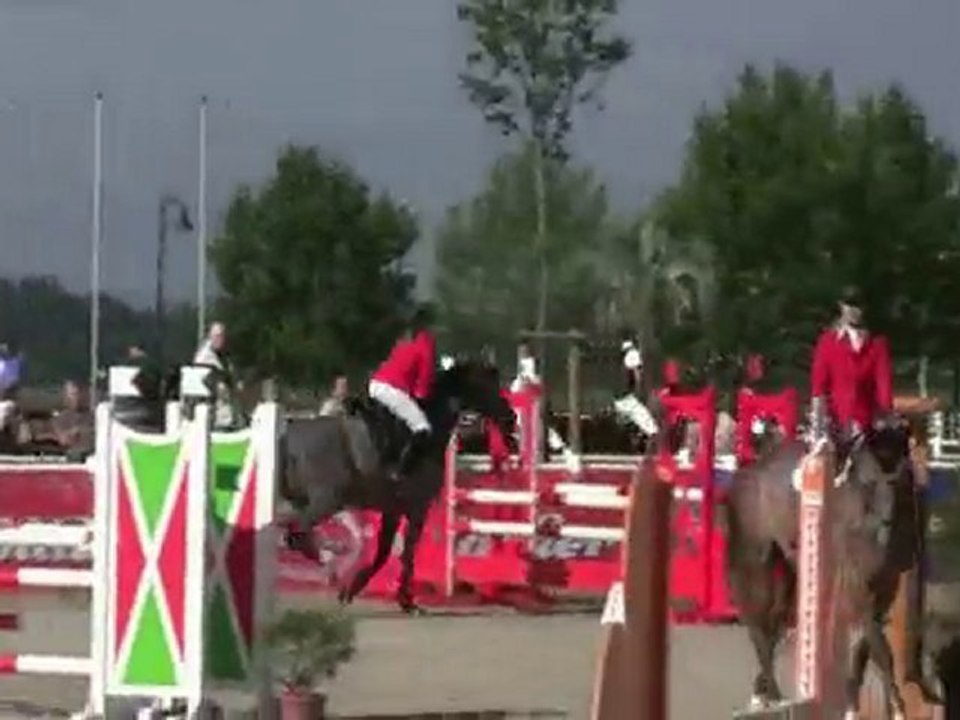 Calima P, Springpferdeprüfung Klasse A