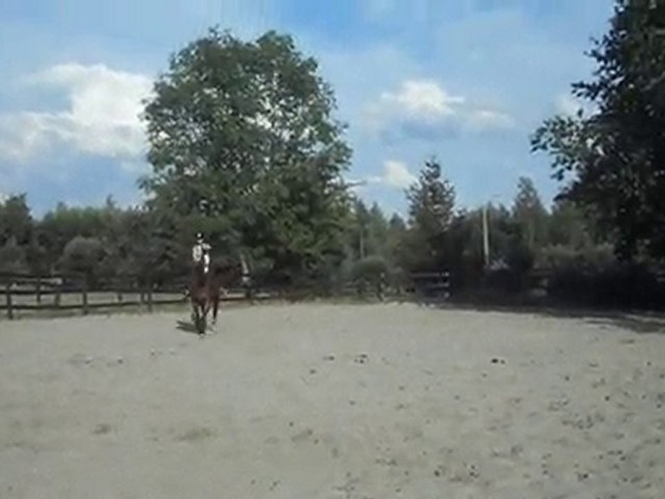 Chat, cheval, cousine 163