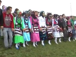 2010-AKTAŞ OTÇUSU.1