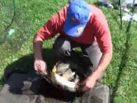 2ème journée de pêche à la carpe au coup