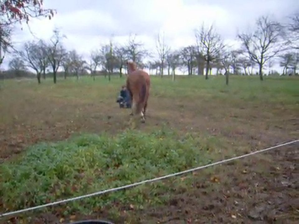 jeu et rappel sans longe