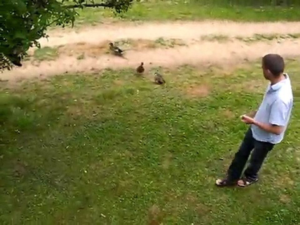 Jean Piote et ses canards