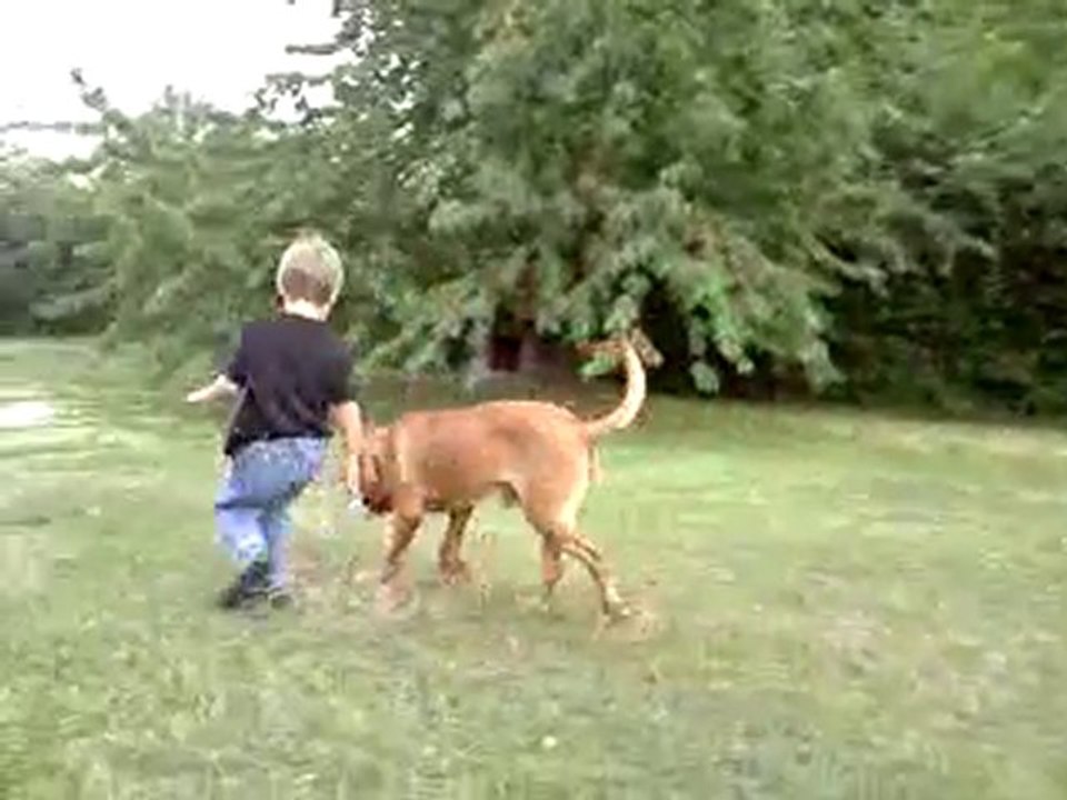 Emut des pas de tacite aout 2010.3