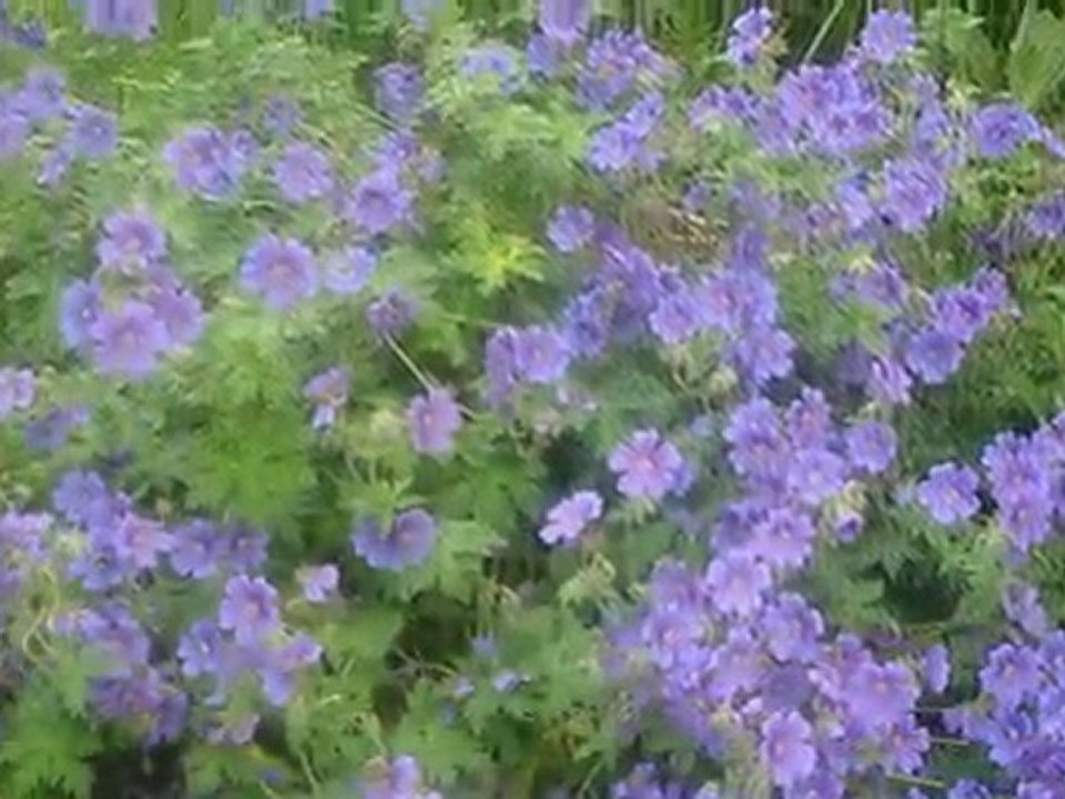 Sculptures et jardin-06.10