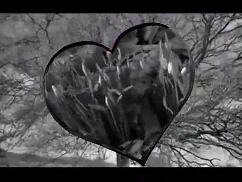 Cem Sinan - Özledim Seni Can