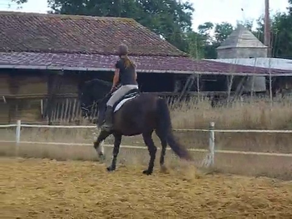 Quiator le 16 Août 2010