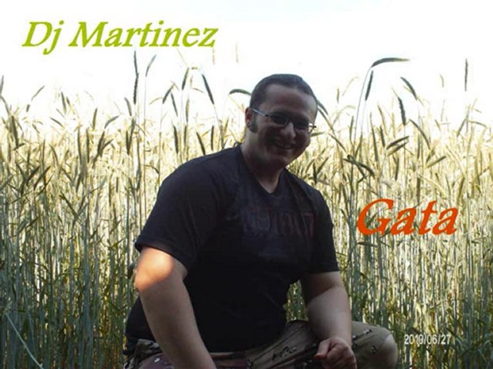 Dj martinez - gata