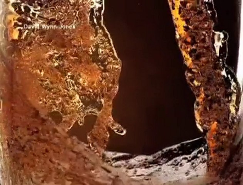 David Wynn-Jones 'Beer Demo Reel'