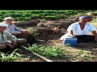 Erkan Acar-DEVRAN BOZUK