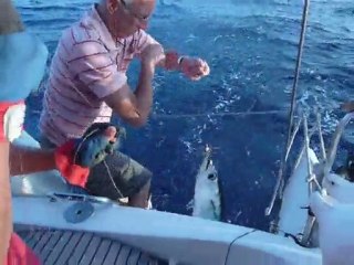 Pêche au thon aux Baléares - Remontée