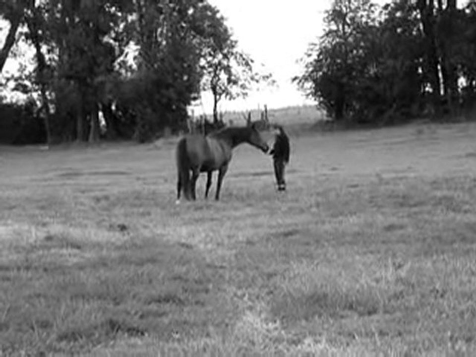 Cadence extrait Aout 2010