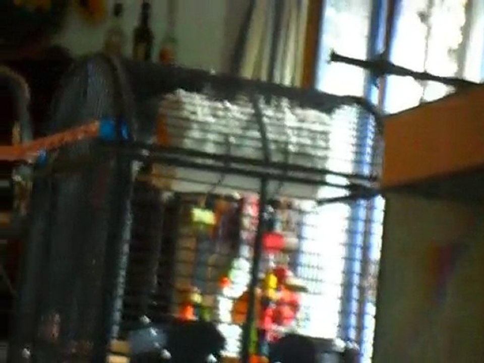 bonjour mon ptit chou/ hoooooo/ mon ptit gamin t'es ou