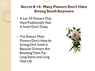 Florist Spartanburg SC: Which One Is Right For Me?