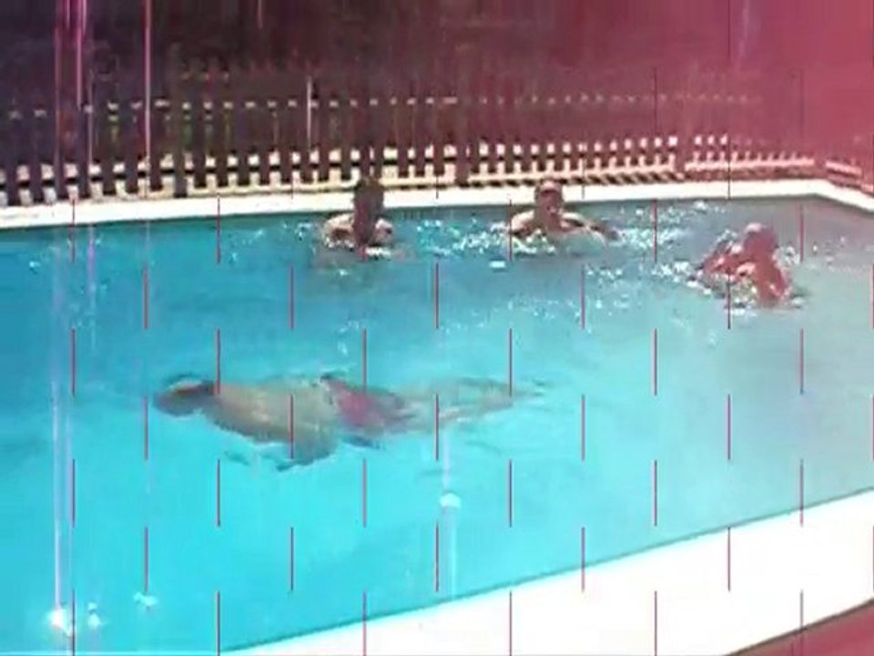 Las barbacoas