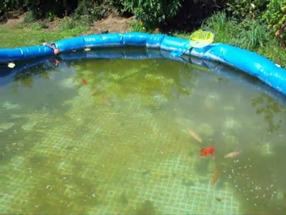 piscine poubelarium