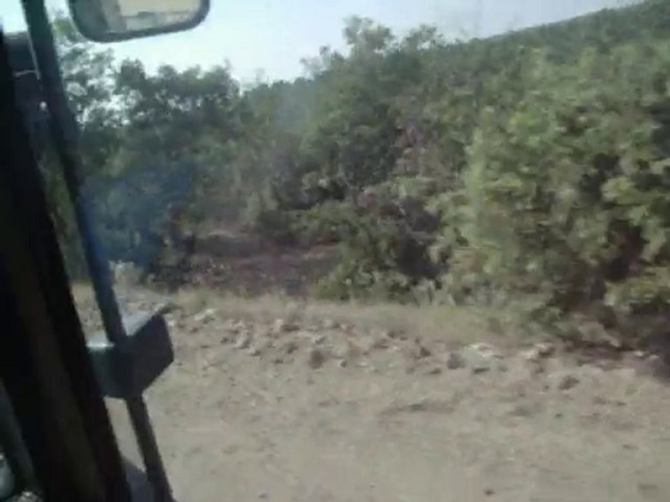 New Holland TL100A İLE ÖZPANMAK GAZAYAĞI TARLAYA GİDİŞ...