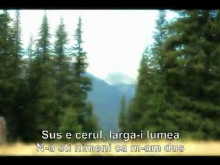Doru Stanculescu - Hai, hai, haidi, hai