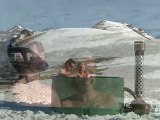 Double Hill and Alpine Helicopters - Heli Hot Tub