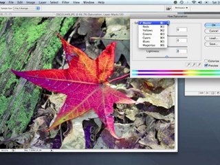 03 - Hue/Saturation Layer Review - ...