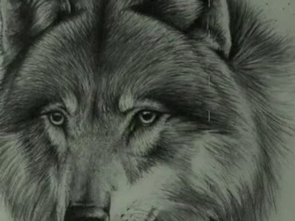 ''DJ Onur Tamer-The Guard of  the Moon''