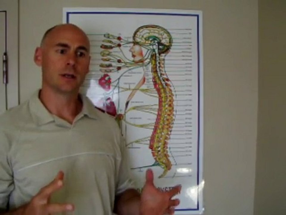 What Do Chiropractors Do?