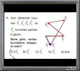 yaprak testi çözümleri videosu vektörler
