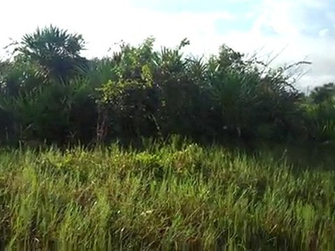 1512 Monroe Ave, Lehigh Acres FL 33972