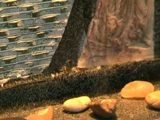 1er spa thermal de Méditerranée