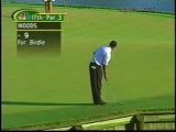 Tiger Woods Impressions Golf!