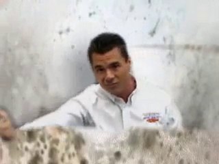 Mold Clean Up Port Charlotte Venice FL 941