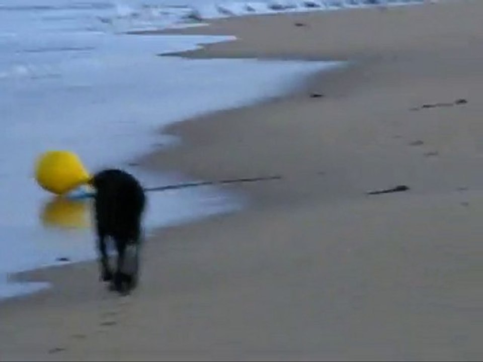 éole ballade matinale le 24 08 2010