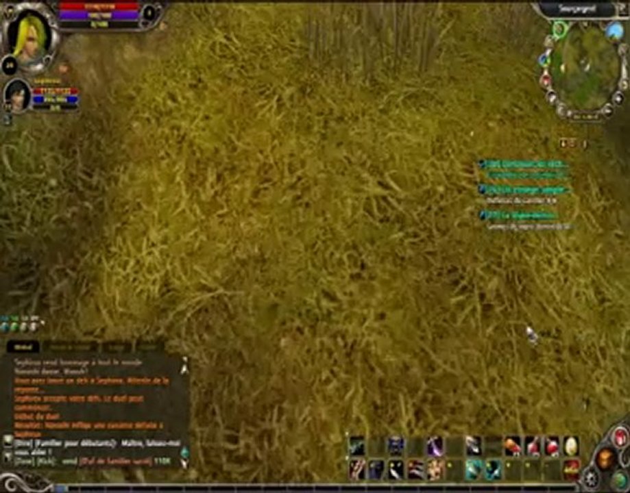 Petits délires entre amis "Runes Of Magic"