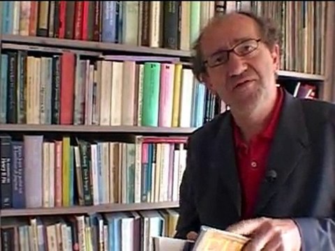 Theo Witte over literaire ontwikkeling