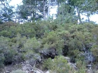 08-08-2010 ferme de spina