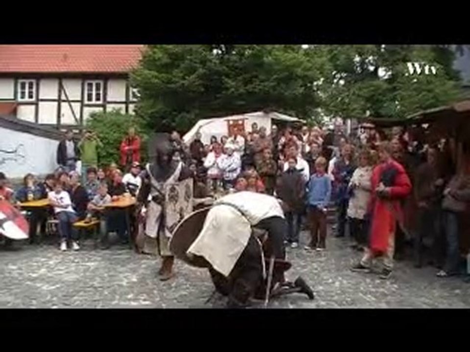 Wernigeröder Rathausfest 2010