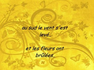 "acacia" chanté en duo avec julien doré