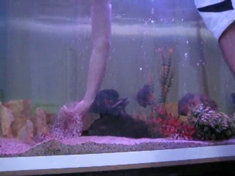 ASTRONOTLARIN ELE SALDIRISI