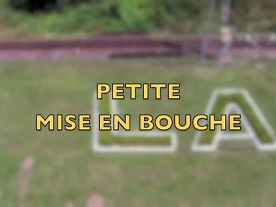 Extrait du Conseil Municipal du 23.8.10 La Bourboule