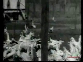 YouTube - Atatürk - Çiftlik Gezisinde - (( ATATÜRK ARŞİVİ ))