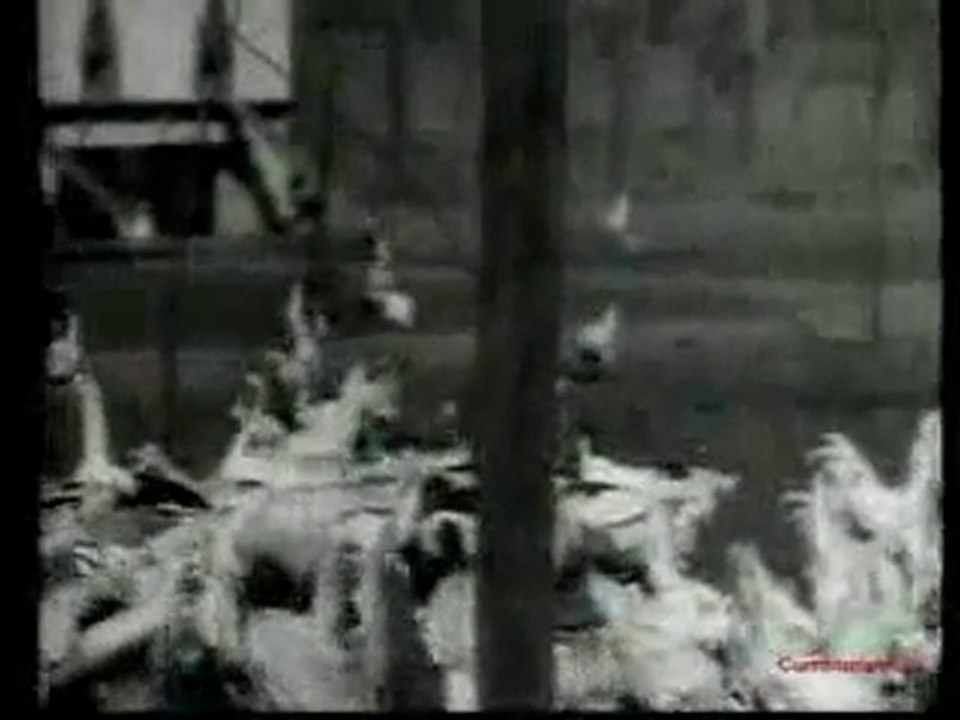 YouTube - Atatürk - Çiftlik Gezisinde - (( ATATÜRK ARŞİVİ ))