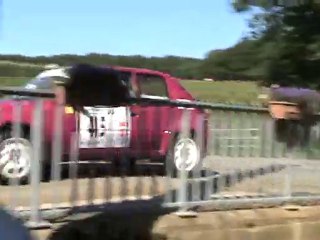 Rallye des lacs 2010 (Numéro 45)