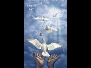 Quelques mots d'amour _Michel Berger_