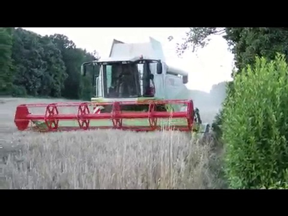 Der Mähdrescher kommt - 1.8.10