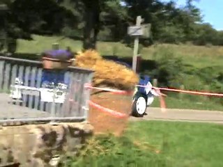 Rallye des lacs 2010 (Numéro 16)