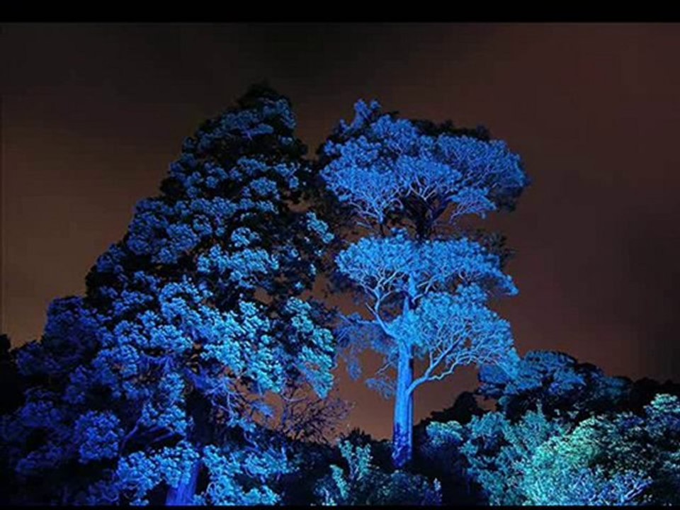 FRANK SINATRA - Strangers In The Night