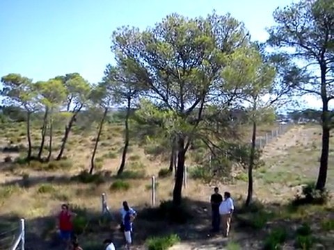 départ 205 Rallye slalom du Luc 2010