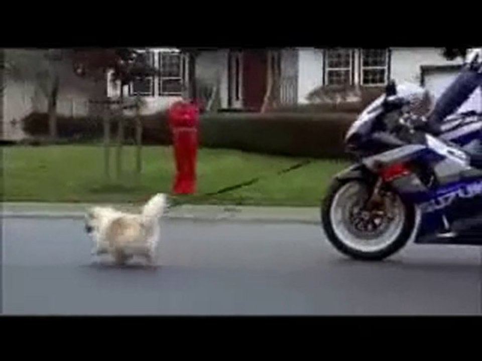 Suzuki Motorcycle Commercial